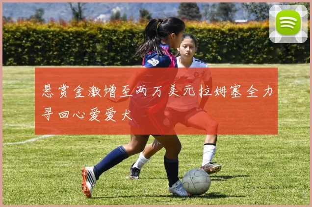 悬赏金激增至两万美元拉姆塞全力寻回心爱爱犬